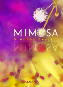 mimosa_gessler